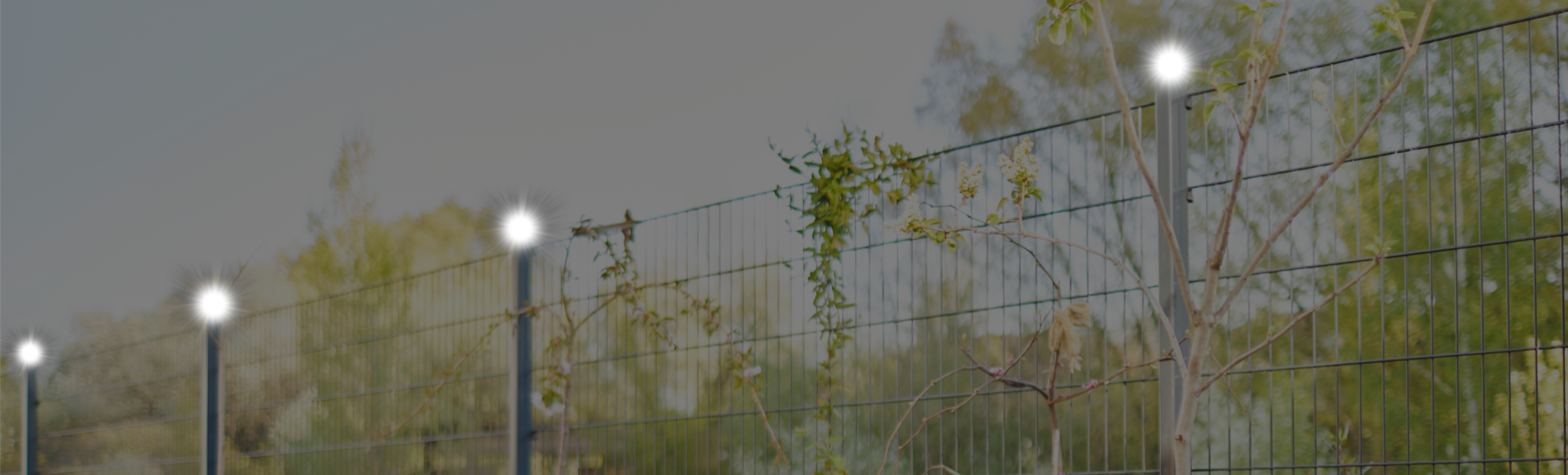 collection-banner-image